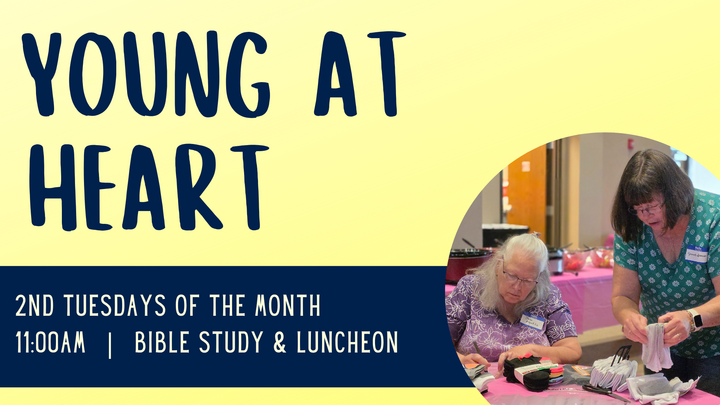 Featured image for “Young at Heart”